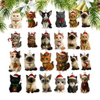 Dahlia | Kitten 2D Acrylic Ornament Advent Calendar