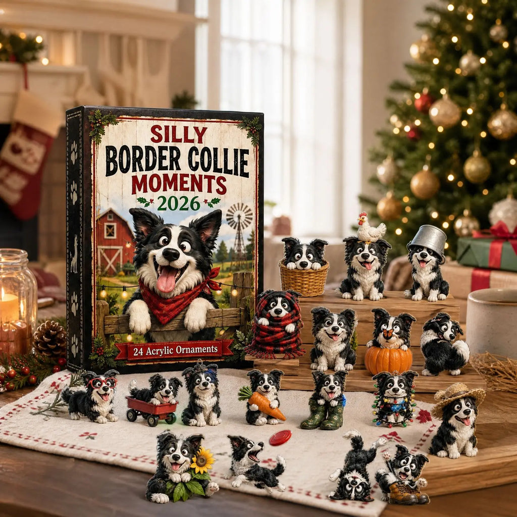 Mabel | 24 Day Border Collie Ornament Advent Calendar