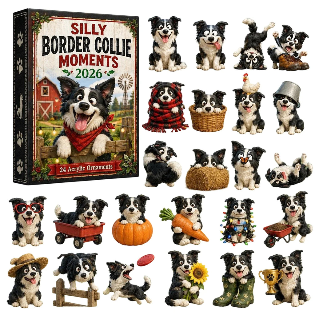 Mabel | 24 Day Border Collie Ornament Advent Calendar