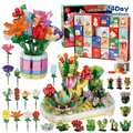 Winnie | 24 Day Build a Flower Advent Calendar